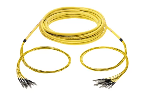 Breakout Cable E-2000™ APC 12x - E-2000™ APC 12x, green/white, G.652.D, C/1, 20 m (R502427)