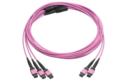 Cable assyembly FO, MPO-QR Female with 12 fibers Grade C PC/UPC 0.8m  (Venus FXXL, FXL, FLA2) -MPO-QR Female with 12 fibers, Grade CPC/UPC,  0.8m (Venus FXXL, FXL, FLA2), 24xMultimode OM4 (G50), Heather violet ECA  (LSZH), 25m (R877287)